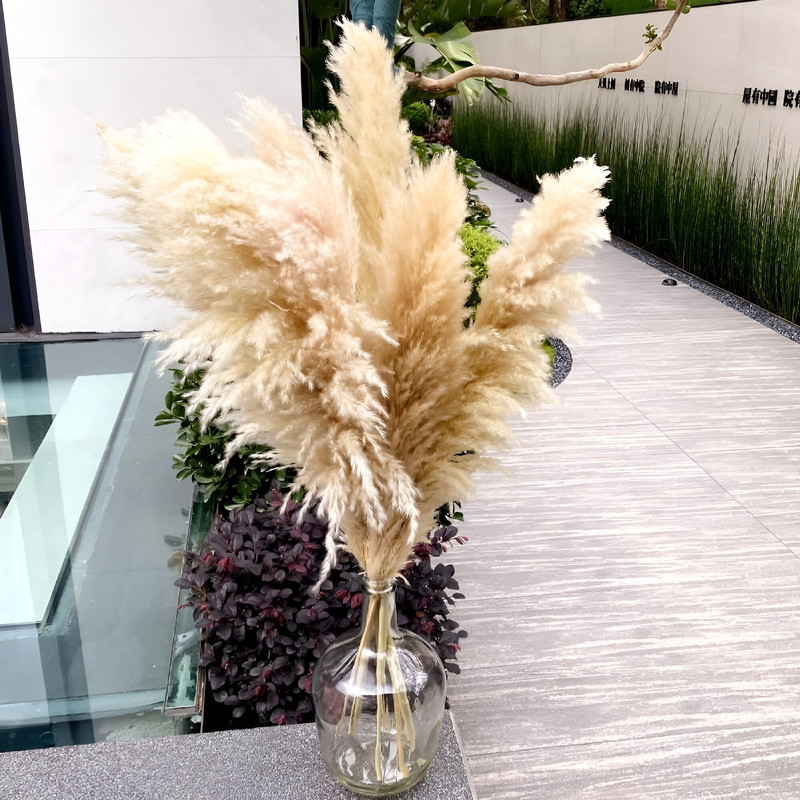 SET 2 PLANTAS PAMPAS ARTIFICIALES ESPONJOSA DECO BOHEMIA LAU - 6