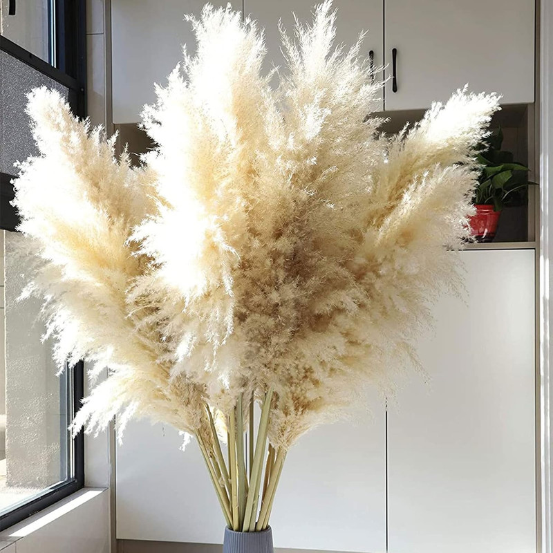 SET 2 PLANTAS PAMPAS ARTIFICIALES ESPONJOSA DECO BOHEMIA LAU - 8