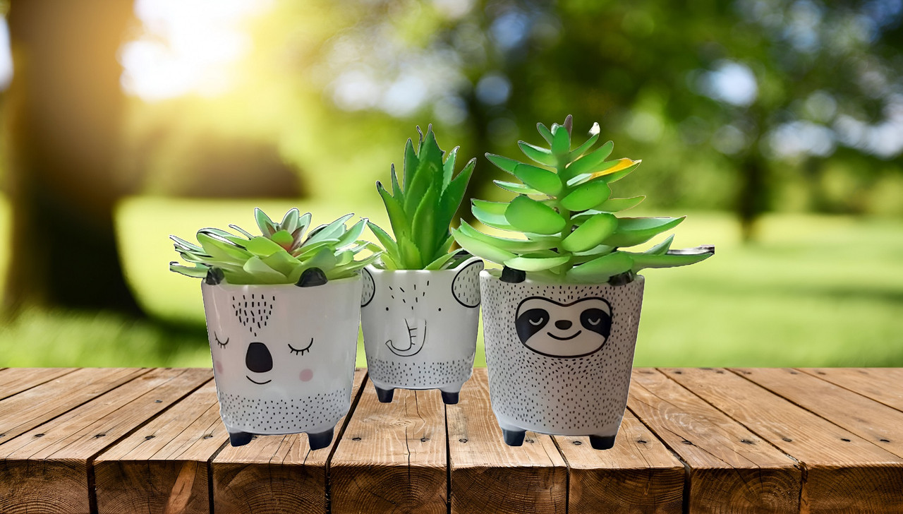 SET 2 MACETAS PEQUEÑAS PLANTAS CACTUS DECORACION HOGAR LAU - 8