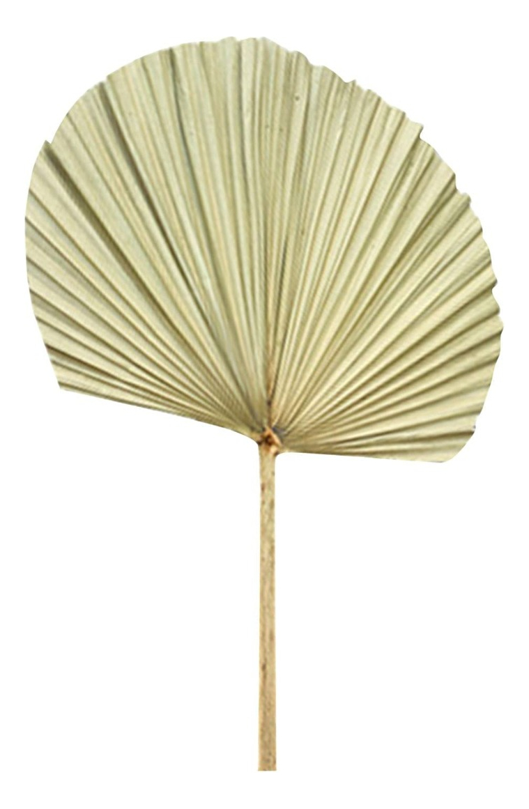 SET DE 3 ABANICO GRANDE HOJAS PALMA NATURAL DECORACIÓN JHN - 1