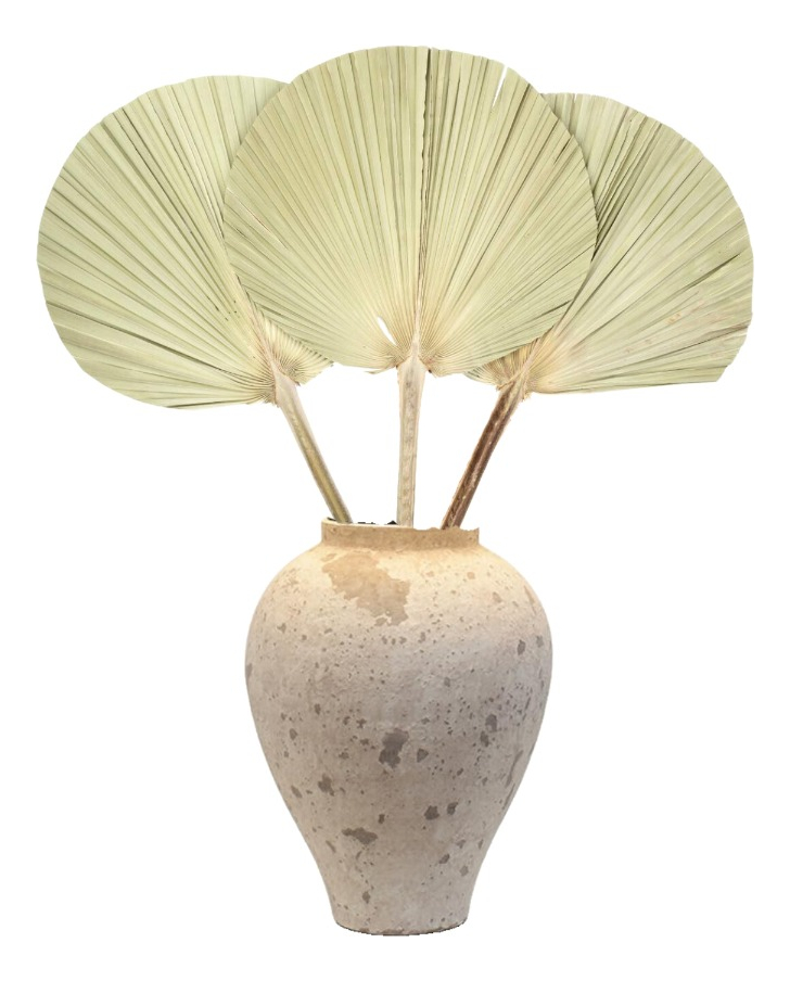 SET DE 3 ABANICO GRANDE HOJAS PALMA NATURAL DECORACIÓN JHN - 6