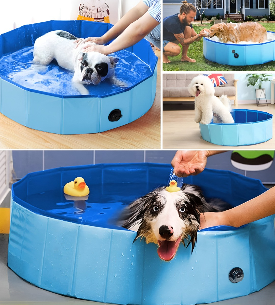 PISCINA PILETA PLEGABLE PARA MASCOTAS Y NIÑOS 80X20CM JHN - 6