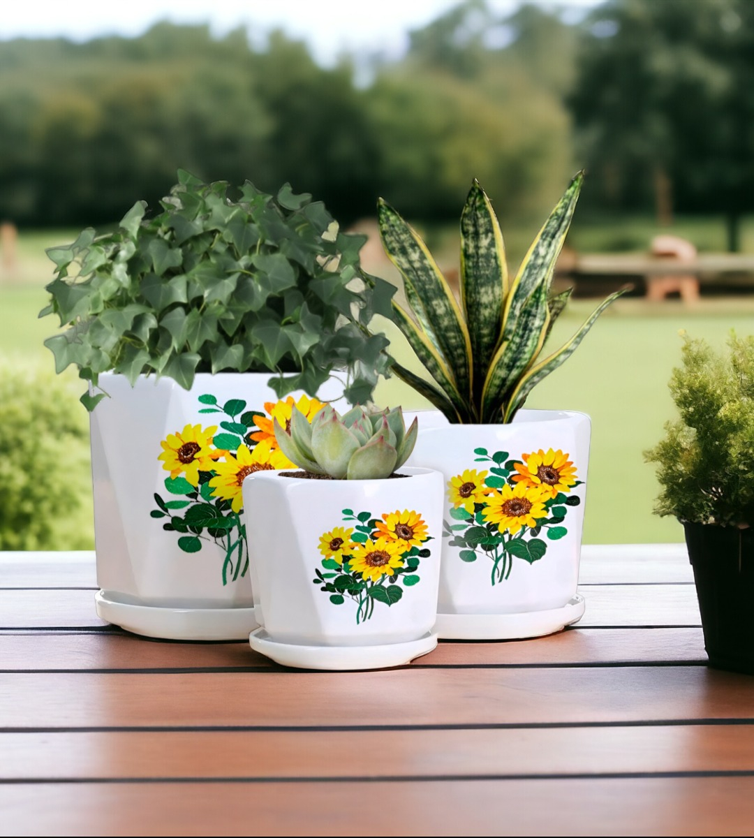 SET 3 MACETAS GIRASOL CERÁMICA PLANTAS JARDÍN DECORACIÓN JHN - 5