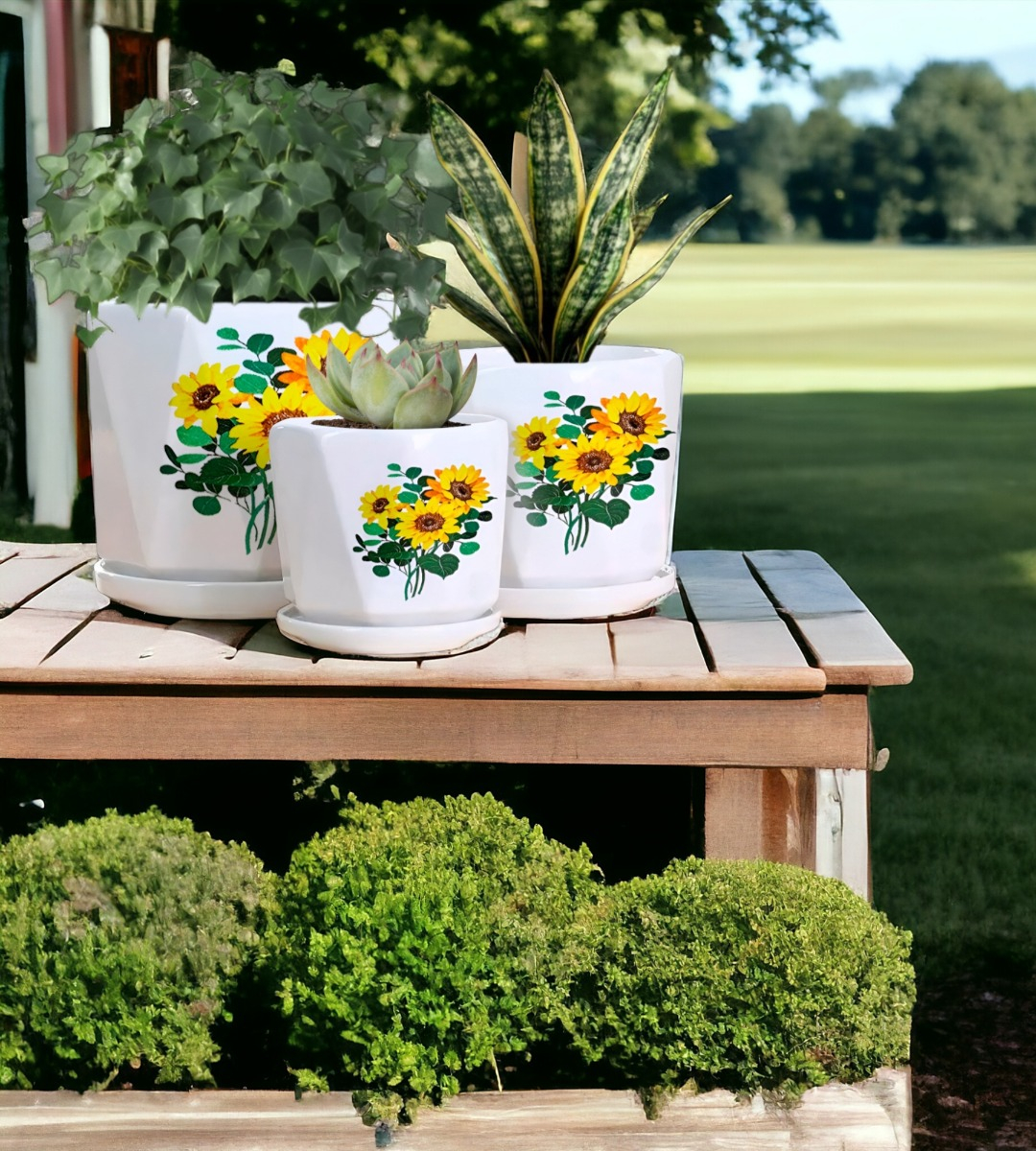 SET 3 MACETAS GIRASOL CERÁMICA PLANTAS JARDÍN DECORACIÓN JHN - 7