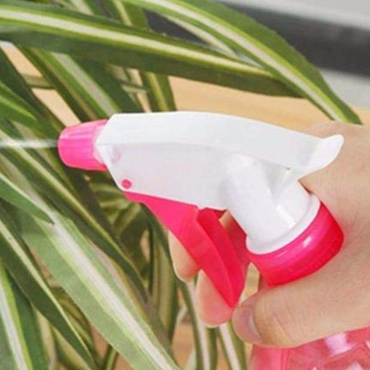 SET 10 BOTELLAS ROCIADOR PULVERIZADORA DE PLASTICO LAU - 5