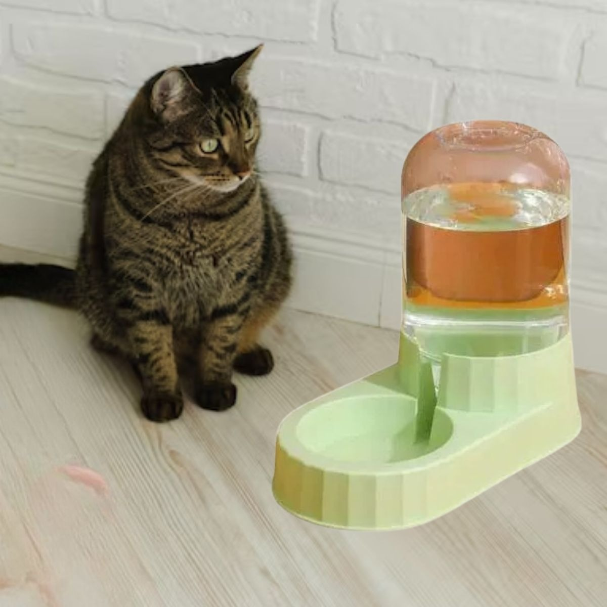 DISPENSADOR DE COMIDA Y BEBEDERO DE AGUA MASCOTA LAU - 6
