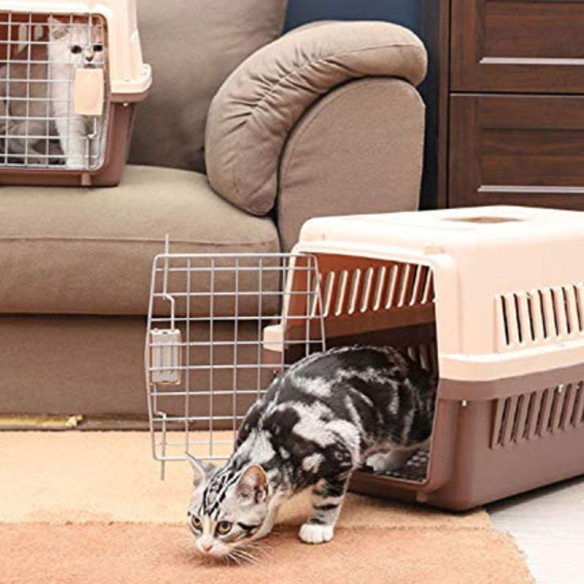 KENNEL TRANSPORTADOR VIAJE PASEO 30X25X44CM MASCOTA LAU - 6