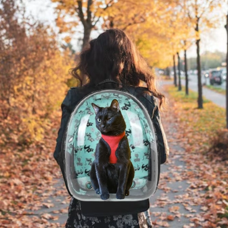 BOLSO TRANSPORTADOR DE MASCOTA VENTANA PASEO VIAJE LAU - 7