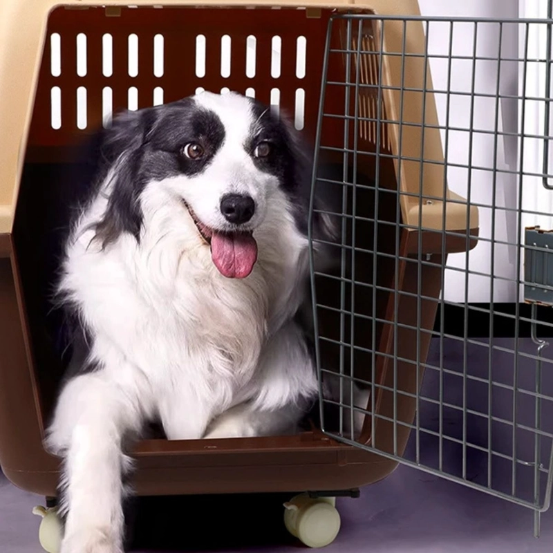 KENNEL TRANSPORTADOR 59XX47X83CM VIAJE PASEO MASCOTA LAU - 2