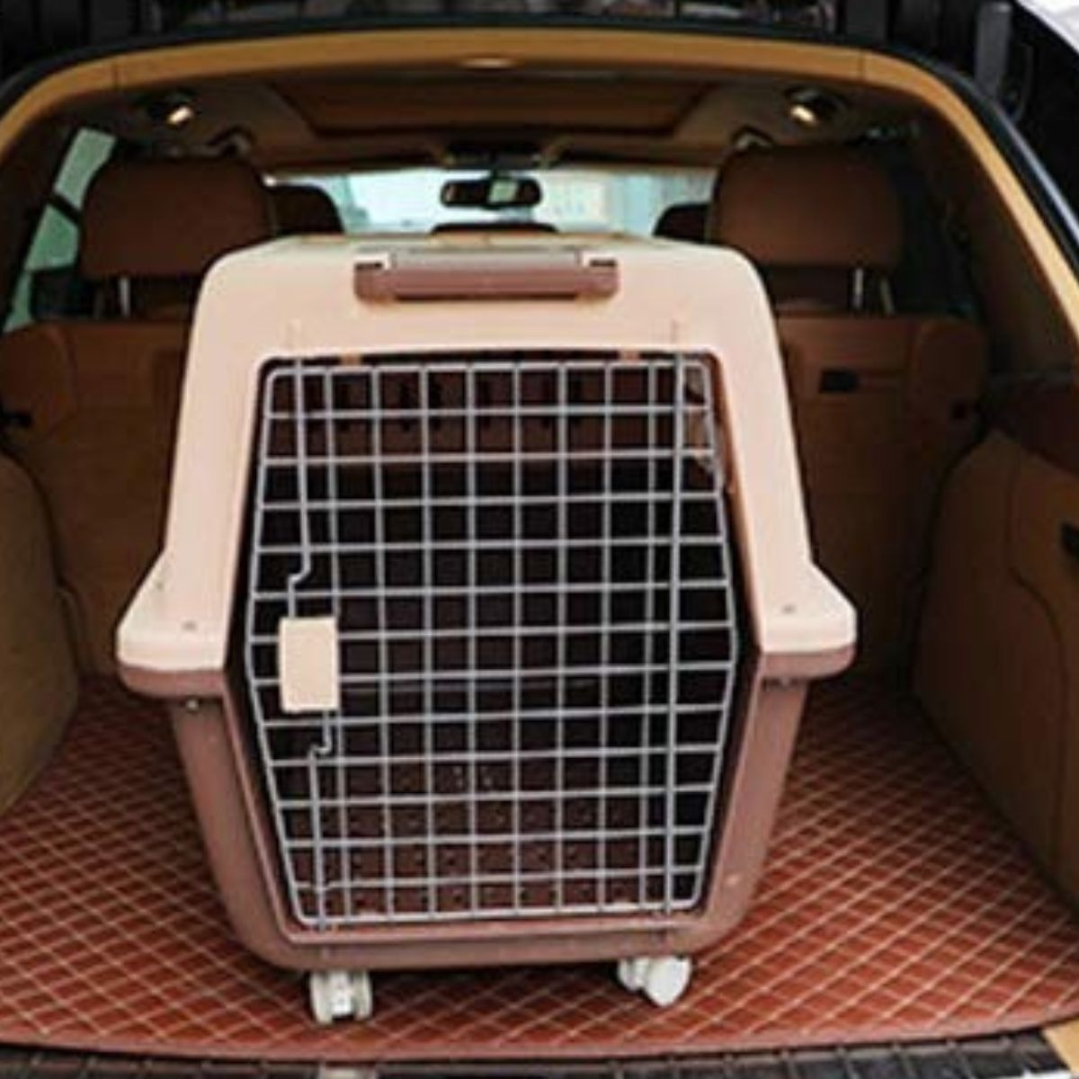 KENNEL TRANSPORTADOR 59XX47X83CM VIAJE PASEO MASCOTA LAU - 7