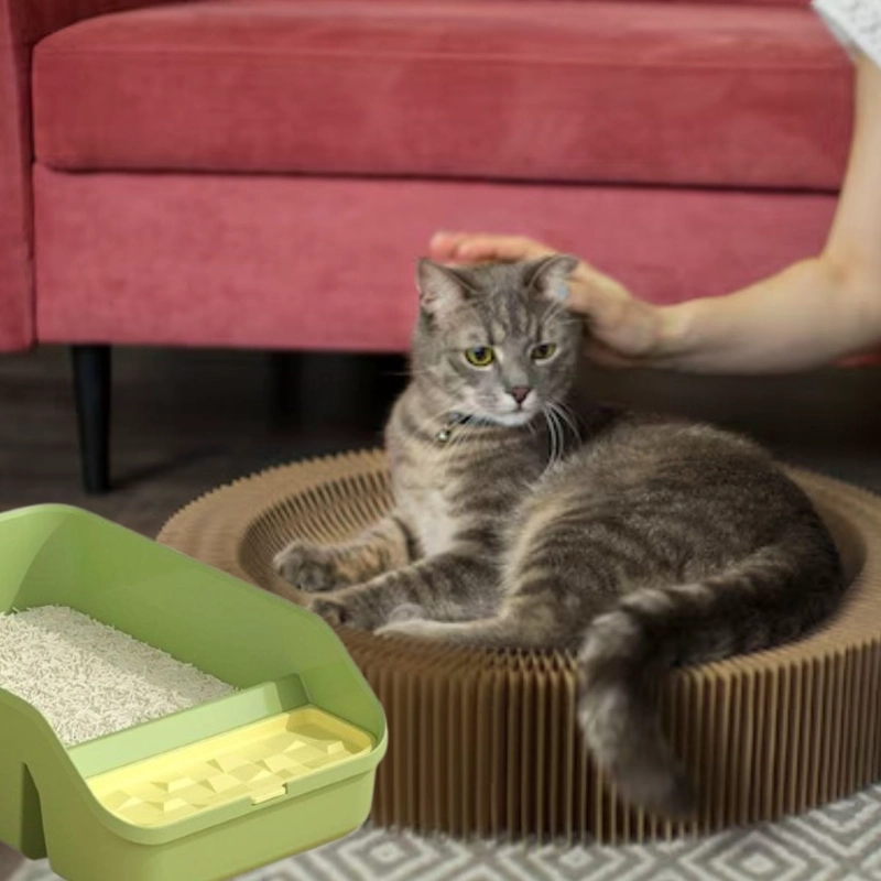 CAJA DE ARENA PEQUEÑO GATOS MASCOTAS HOGAR ASEO HIGIENE LAU - 4