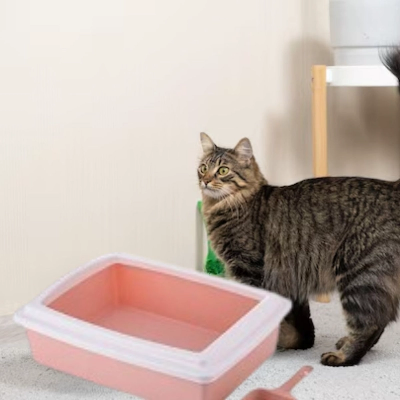 ARENERO CAJA SEMICERRADA PARA GATOS MASCOTAS HOGAR LAU - 2