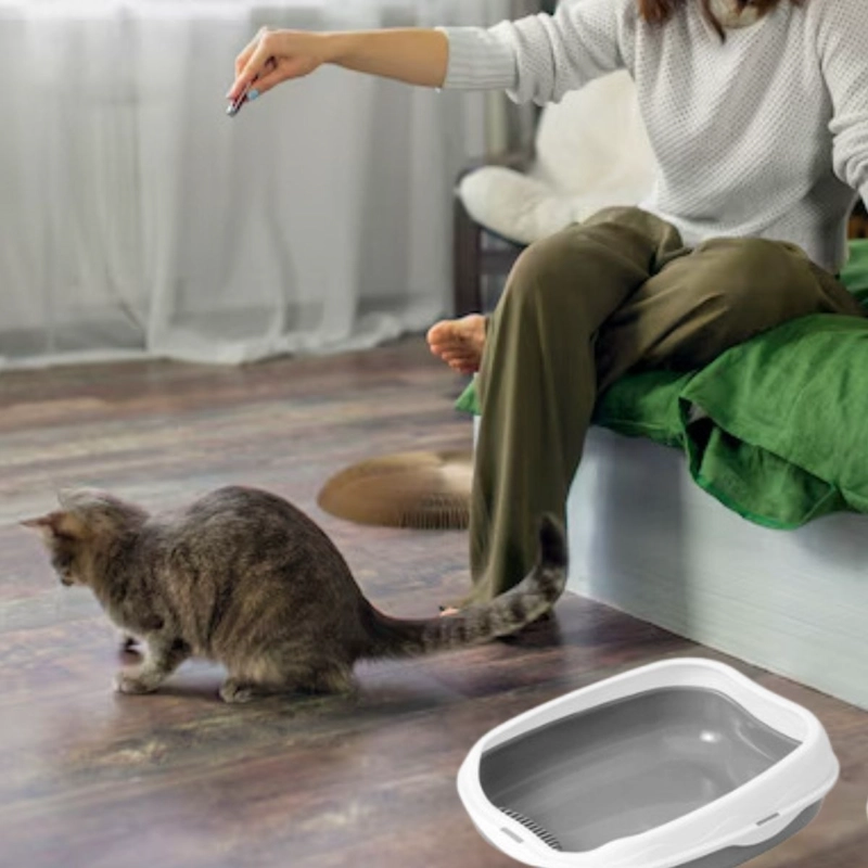 CAJA D ARENA PARA GATOS ASEO ENTRADA BAJA MASCOTAS HOGAR LAU - 4