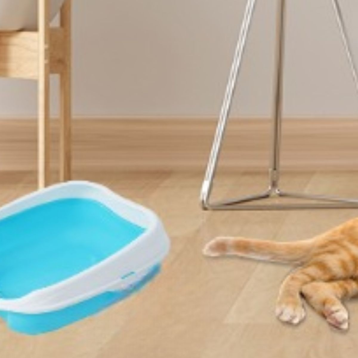 CAJA D ARENA PARA GATOS ASEO ENTRADA BAJA MASCOTAS HOGAR LAU - 9