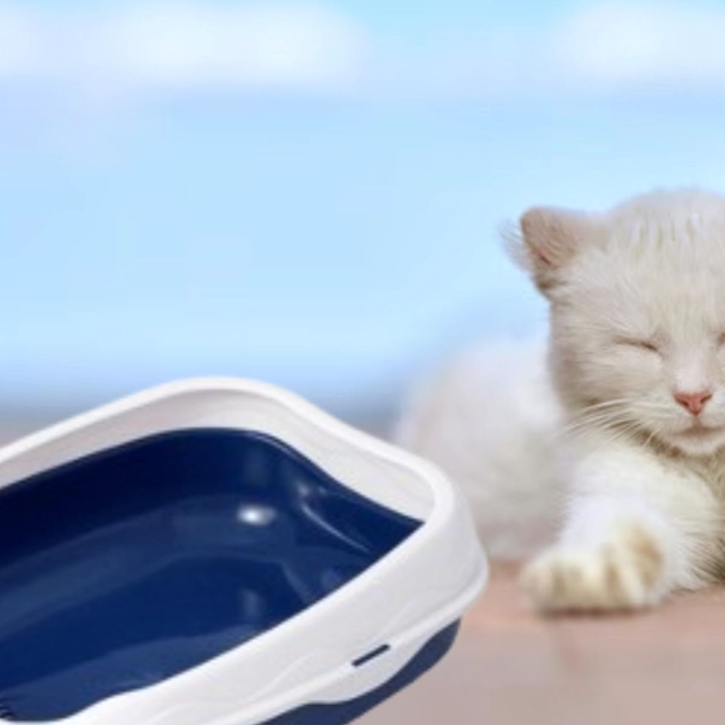 CAJA D ARENA PARA GATOS ASEO ENTRADA BAJA MASCOTAS HOGAR LAU - 10