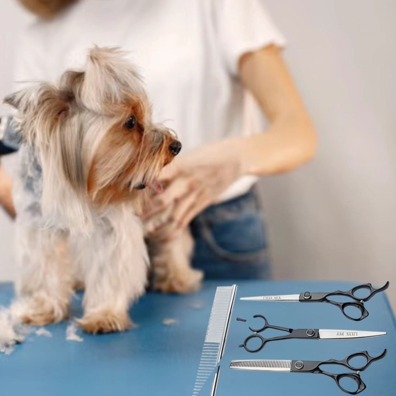 KIT DE TIJERAS PROFESIONALES ASEO DE MASCOTAS 7' LAU - 6