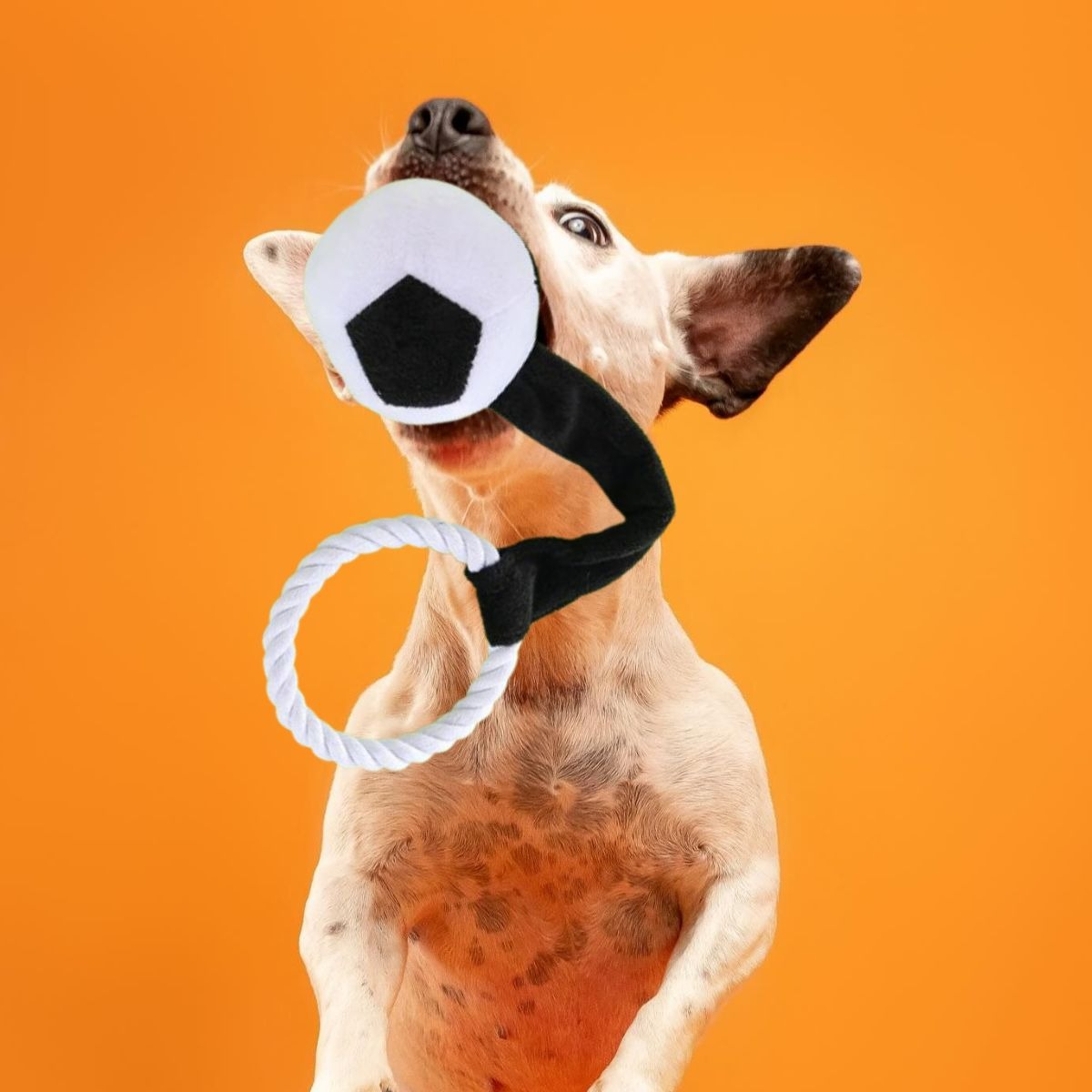 SET 2 JUGUETE PELUCHE INTERACTIVO PARA MASCOTA PERROS LAU - 4