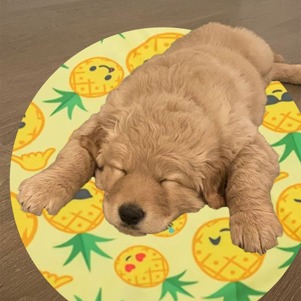 MANTA REFRESCANTE PARA MASCOTAS 40CM VERANO HOGAR LAU - 5