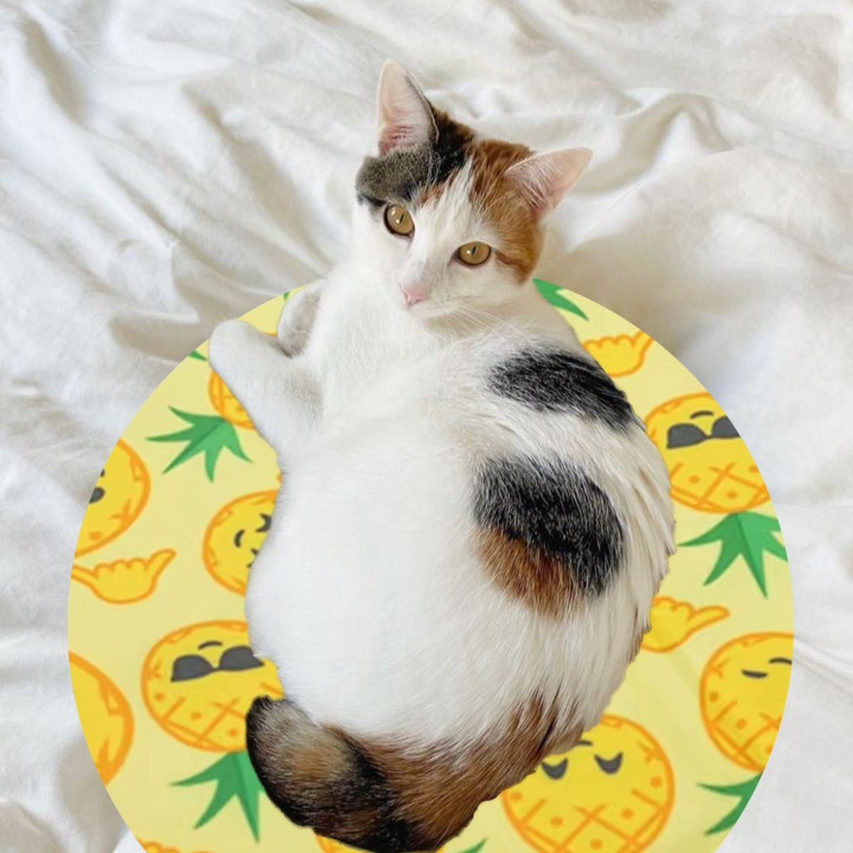 MANTA REFRESCANTE PARA MASCOTAS 30CM VERANO HOGAR LAU - 3