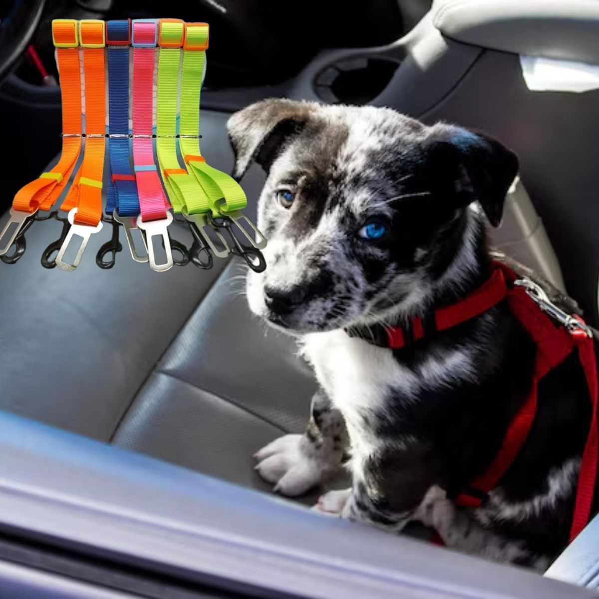 PACK DE CINTURON DE SEGURIDAD PARA MASCOTA LAU - 2