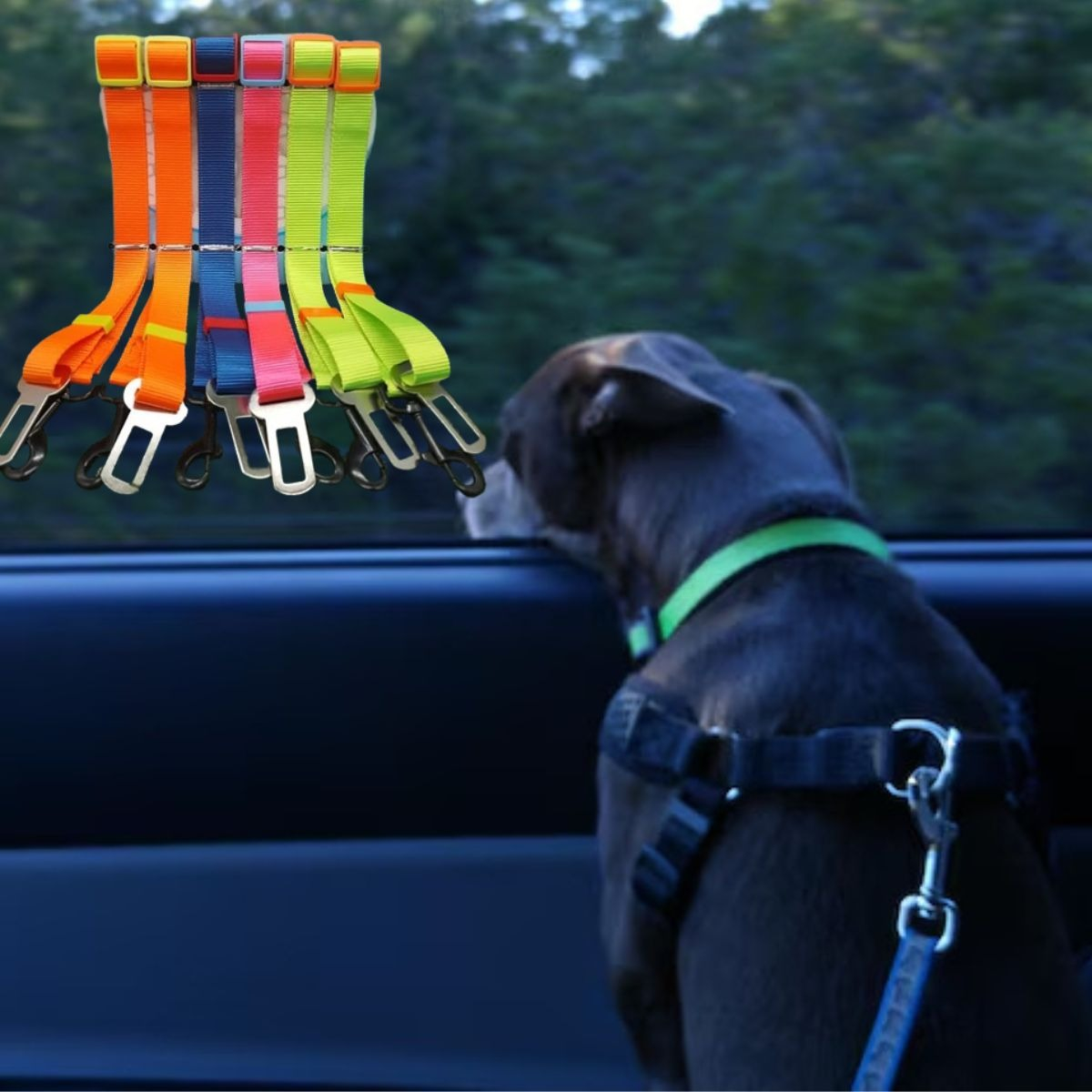 PACK DE CINTURON DE SEGURIDAD PARA MASCOTA LAU - 3
