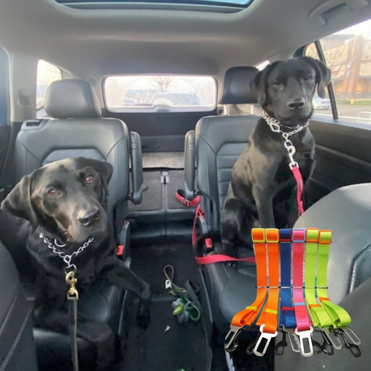 PACK DE CINTURON DE SEGURIDAD PARA MASCOTA LAU - 5