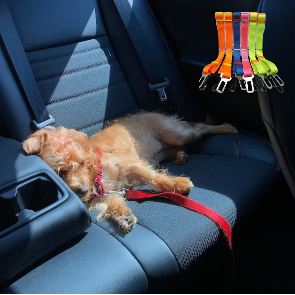 PACK DE CINTURON DE SEGURIDAD PARA MASCOTA LAU - 8