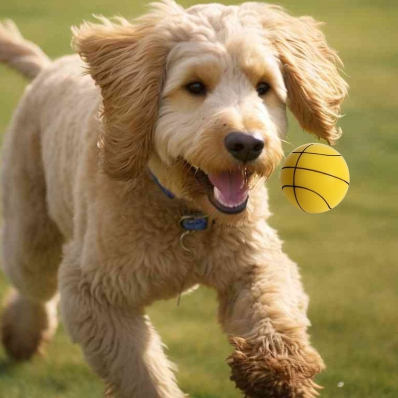 SET 8 JUGUTE DIVERTIDO PELOTA DE GOMA PARA MASCOTA LAU - 3