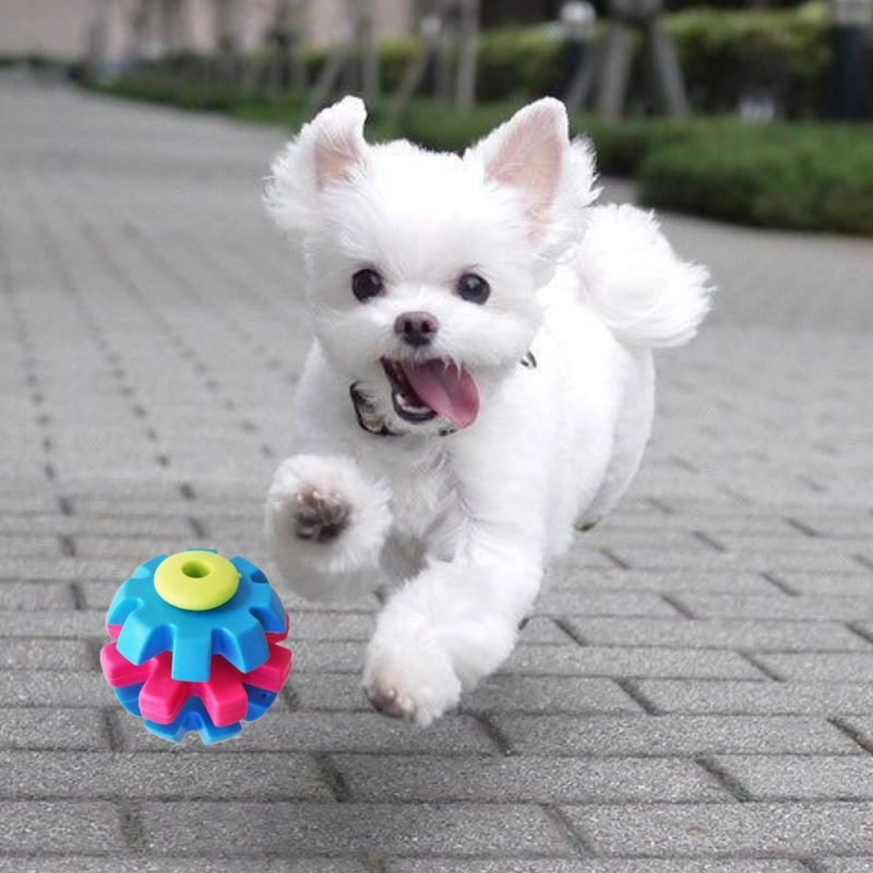 SET 4 JUGUETES PARA MASCOTA PELOTA DE ENTRENAMIENTO LAU - 6