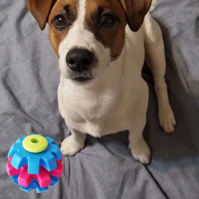 SET 4 JUGUETES PARA MASCOTA PELOTA DE ENTRENAMIENTO LAU - 7