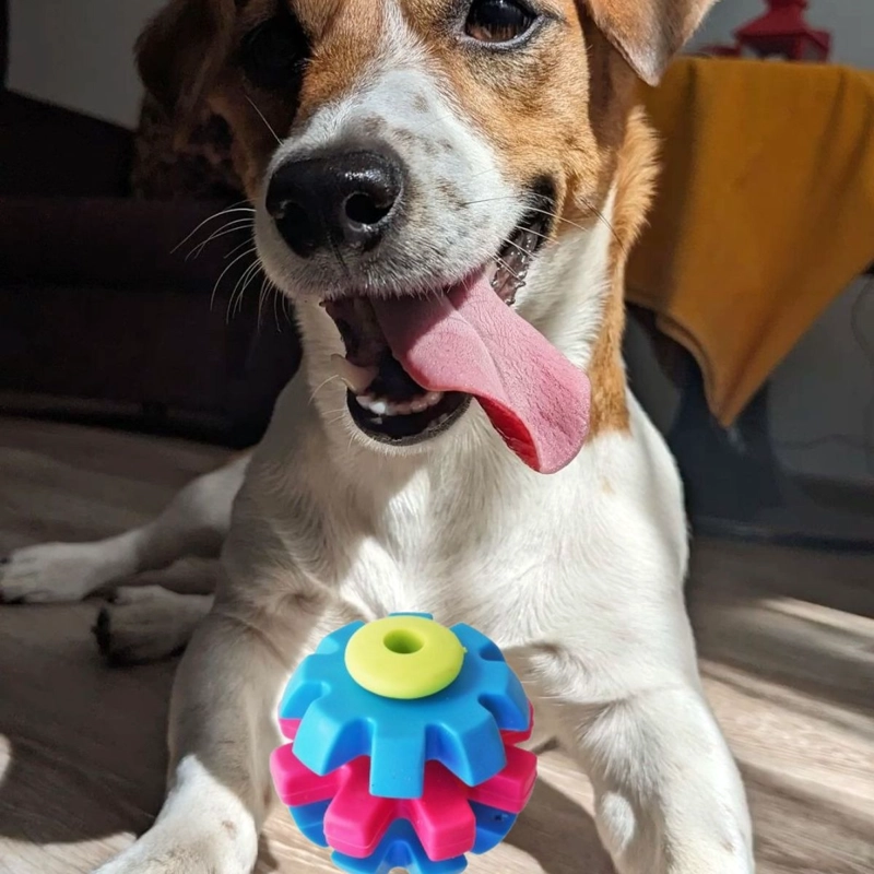 SET 4 JUGUETES PARA MASCOTA PELOTA DE ENTRENAMIENTO LAU - 9