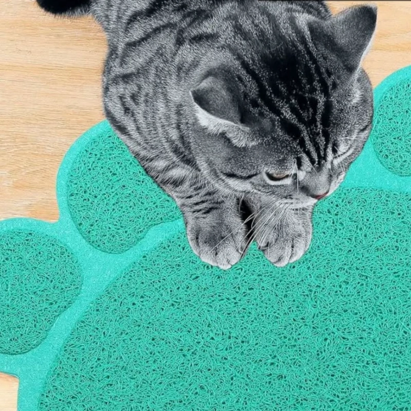 SET 2 ALFOMBRA TAPETE MASCOTAS DISEÑO HUELLA PERRO GATOS LAU - 3
