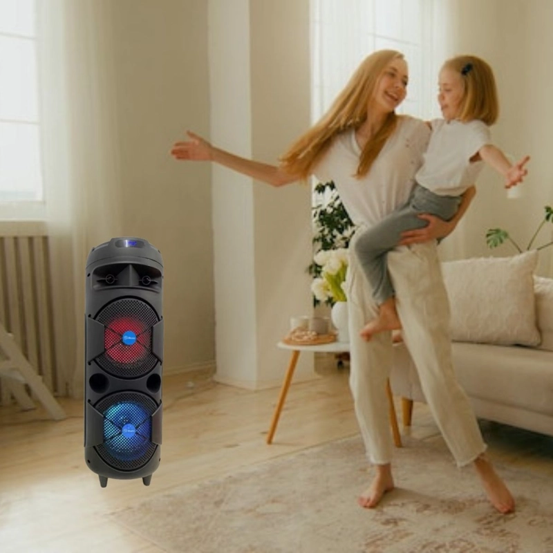 PARLANTE PORTATIL KARAOKE SUBWOOFER FIESTA HOGAR LAU - 6