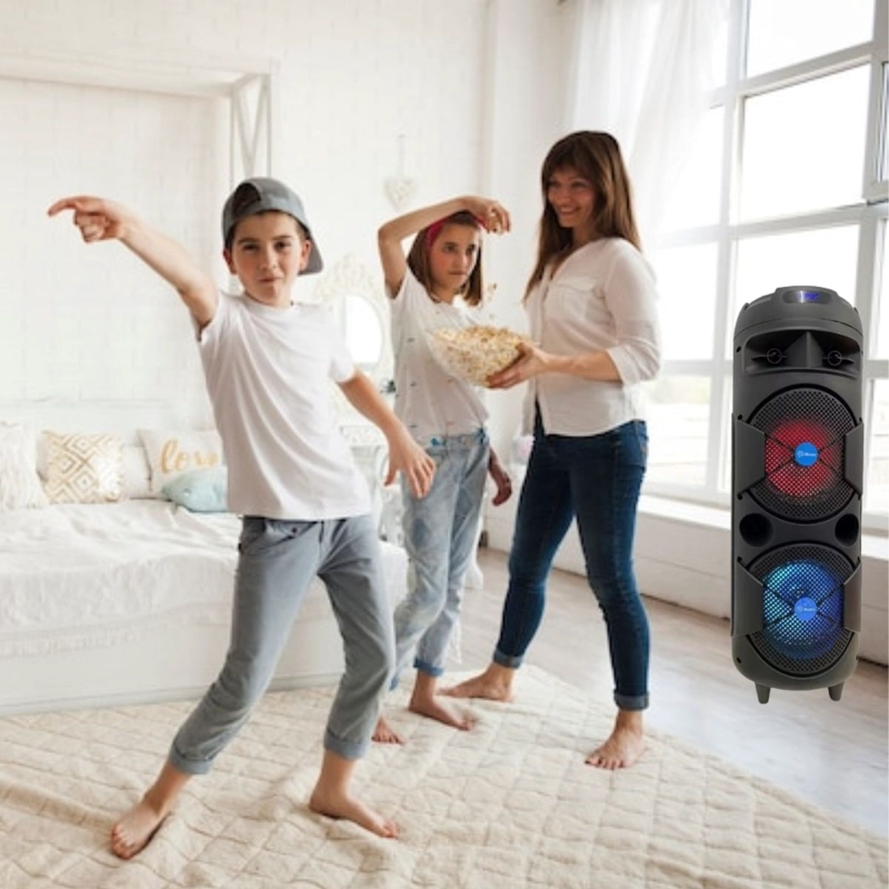 PARLANTE PORTATIL KARAOKE SUBWOOFER FIESTA HOGAR LAU - 9