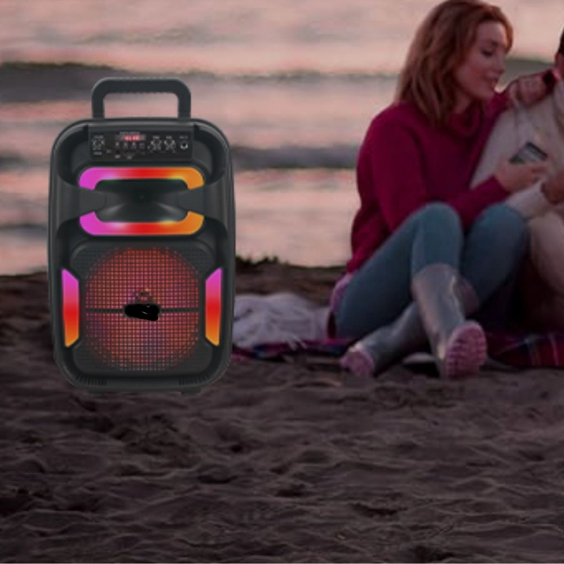 PARLANTE PORTATIL 8¨ CON MICROFONO KARAOKE MUSICA HOGAR LAU - 5