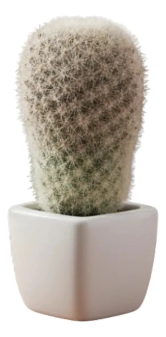 PLANTA ARTIFICIAL DECORATIVA CACTUS ORNAMENTAL BOTANICA JHN - 1