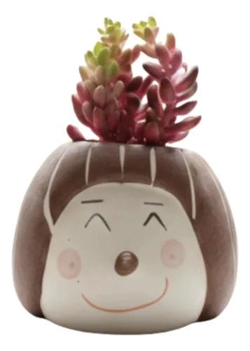 SET 2 MACETAS DECORATIVAS CARITAS PLANTAS SUCULENTAS ALJ - 2