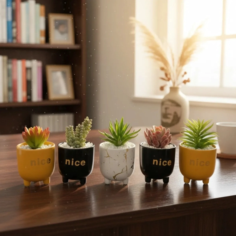 SET 2 MACETAS DECORATIVAS FRASES PLANTAS SUCULENTAS ALJ - 9