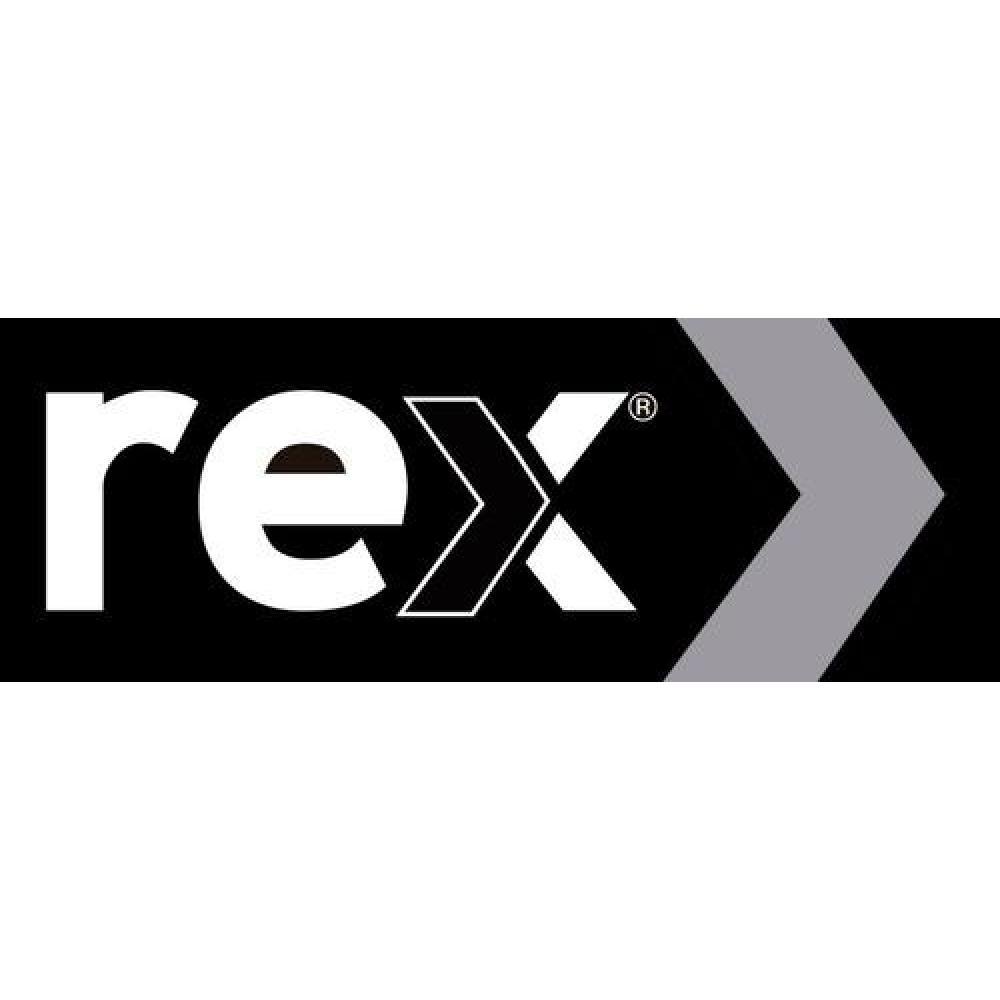 PINTURA EN SPRAY USO GENERAL SECADO RÁPIDO REX 400ML BLANCA - 2