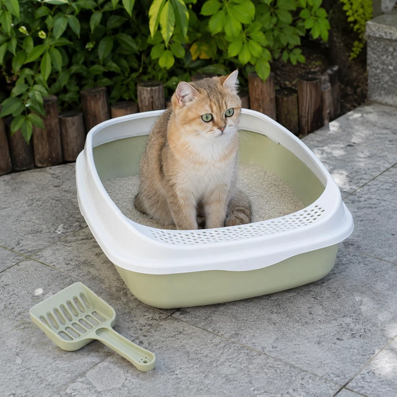 ARENERO PARA GATO MEDIANO + PALA INCLUIDA - VERDE - 4