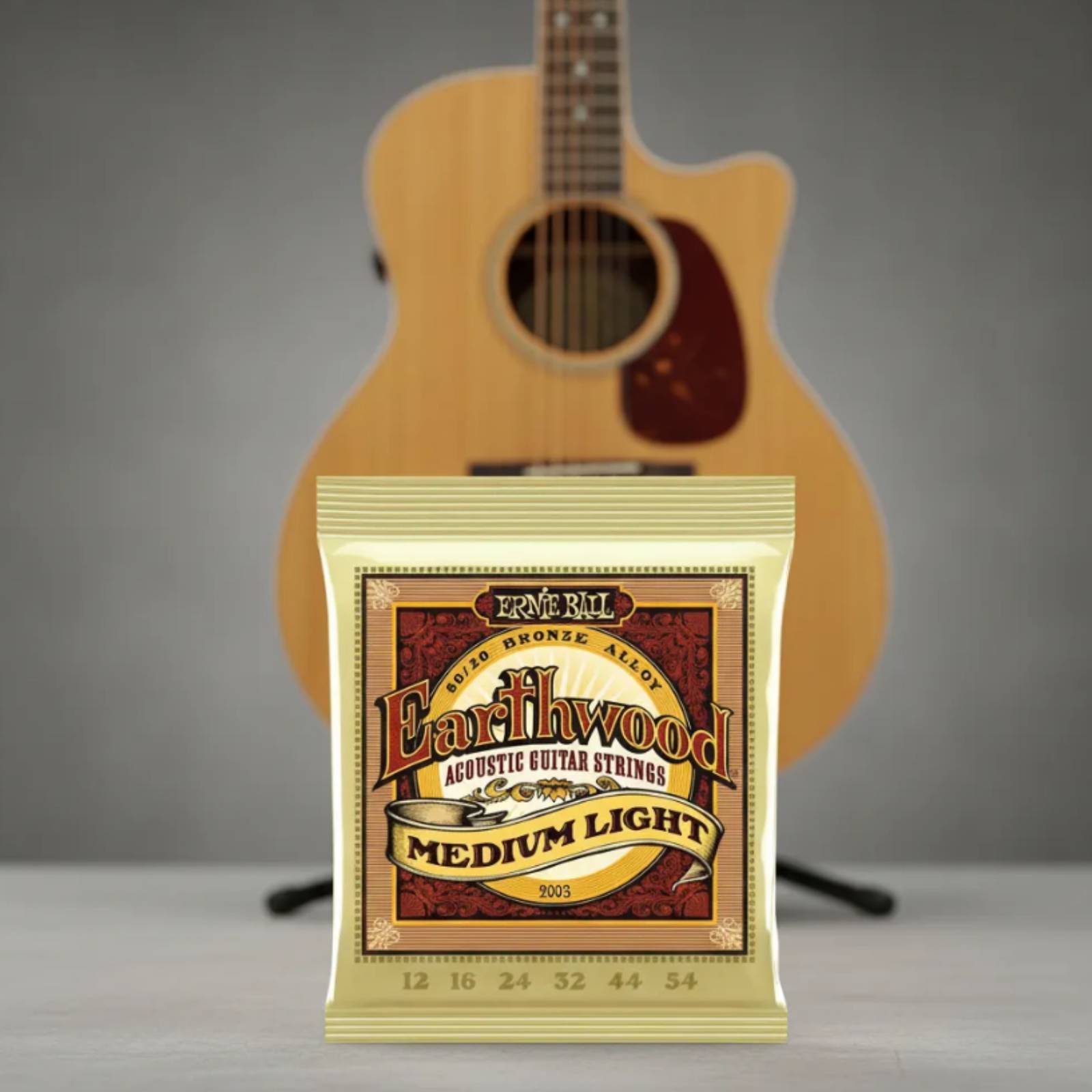 CUERDA ERNIE BALL GUITARRA ACÚSTICA EARTHWOOD 2003 - 5
