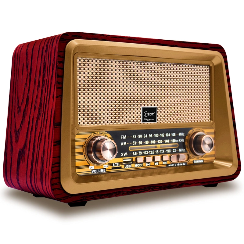 BLUETOOTH MICROLAB RADIO PORTATIL RECARGABLE FM USB-MICRO SD STEZZANO - 3