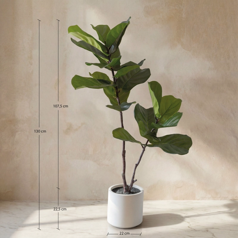 FICUS LYRATA REAL TOUCH - 130 CM - 4