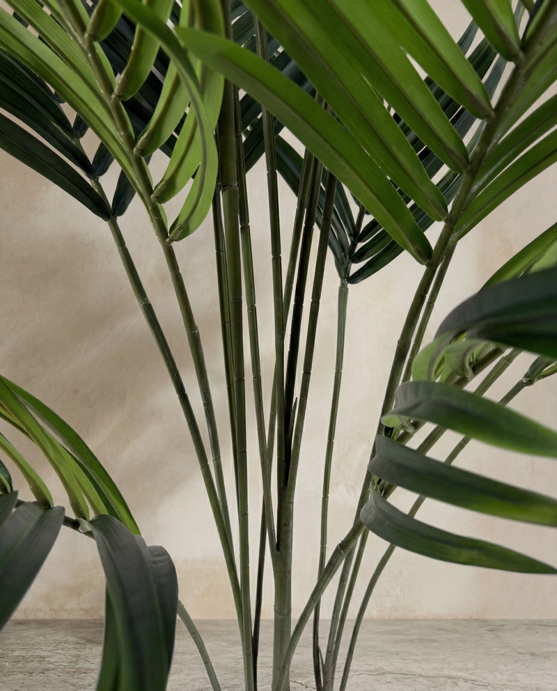 PALMERA REAL TOUCH - 175 CM - 3