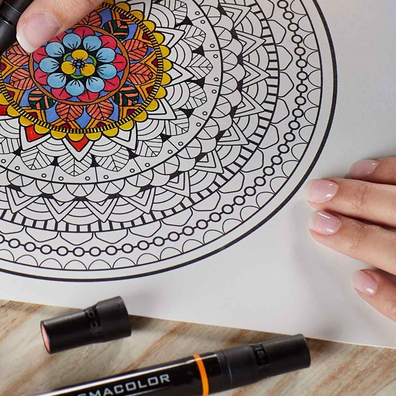MARCADOR PRISMACOLOR PREMIER 12 COLORES CON ESTUCHE - 2