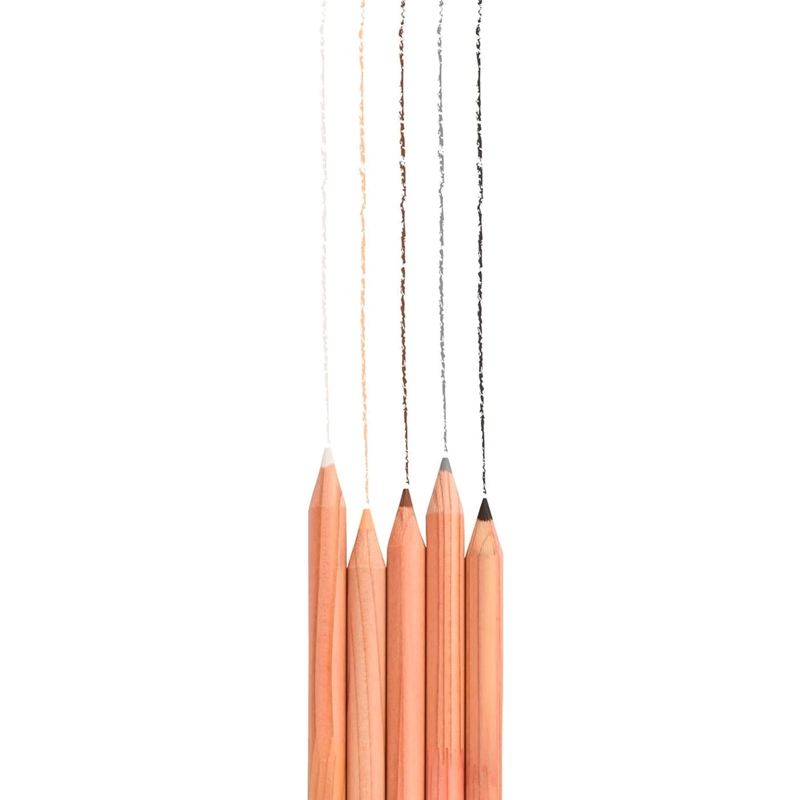SET DE LAPICES COLOR RECYCLED TOMBOW (5 COLORES TIERRA) - 3