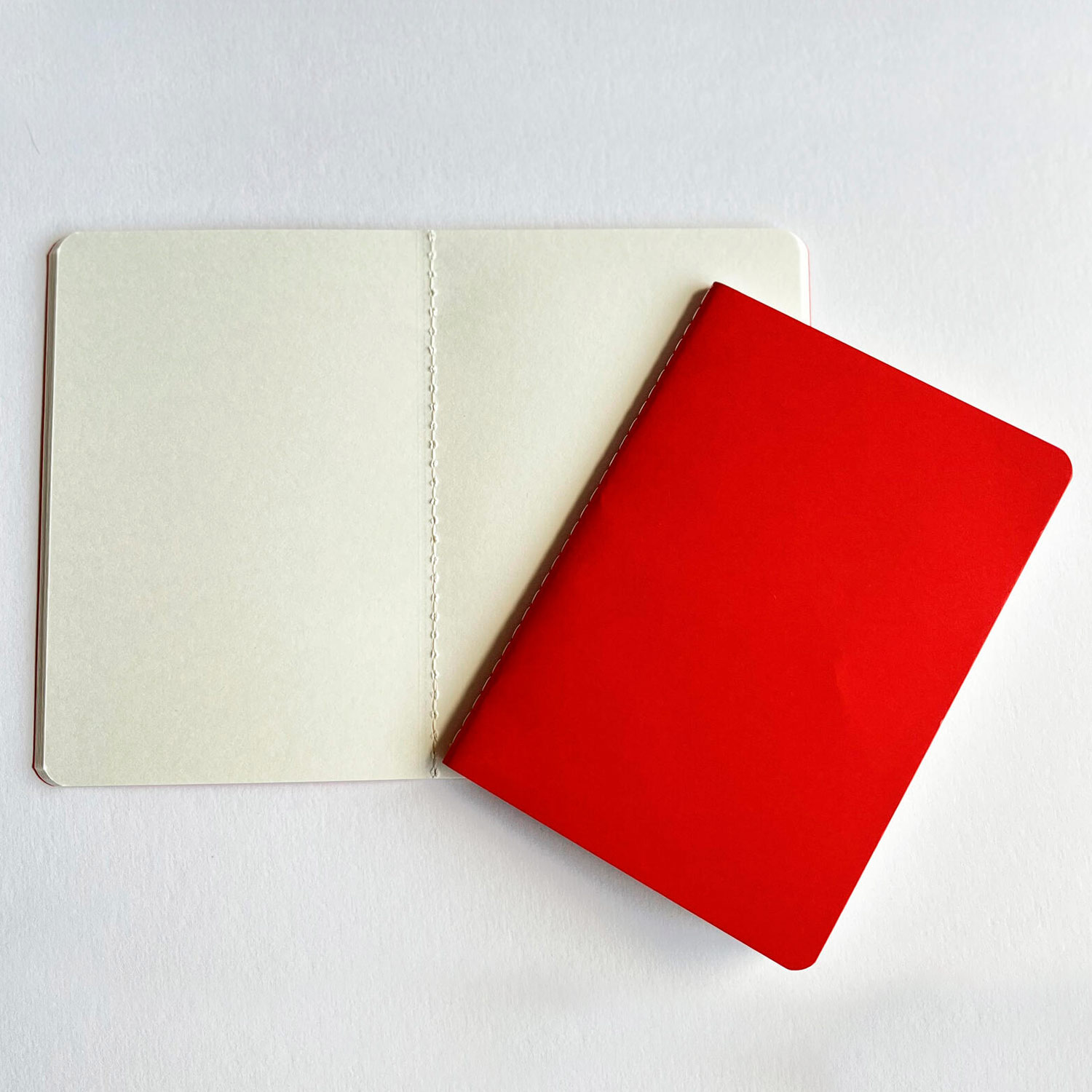PACK X2 LIBRETAS HAHNEMUHLE SKETCH & NOTE HAHNEMÜHLE A4 (29.7X21CM) - 3