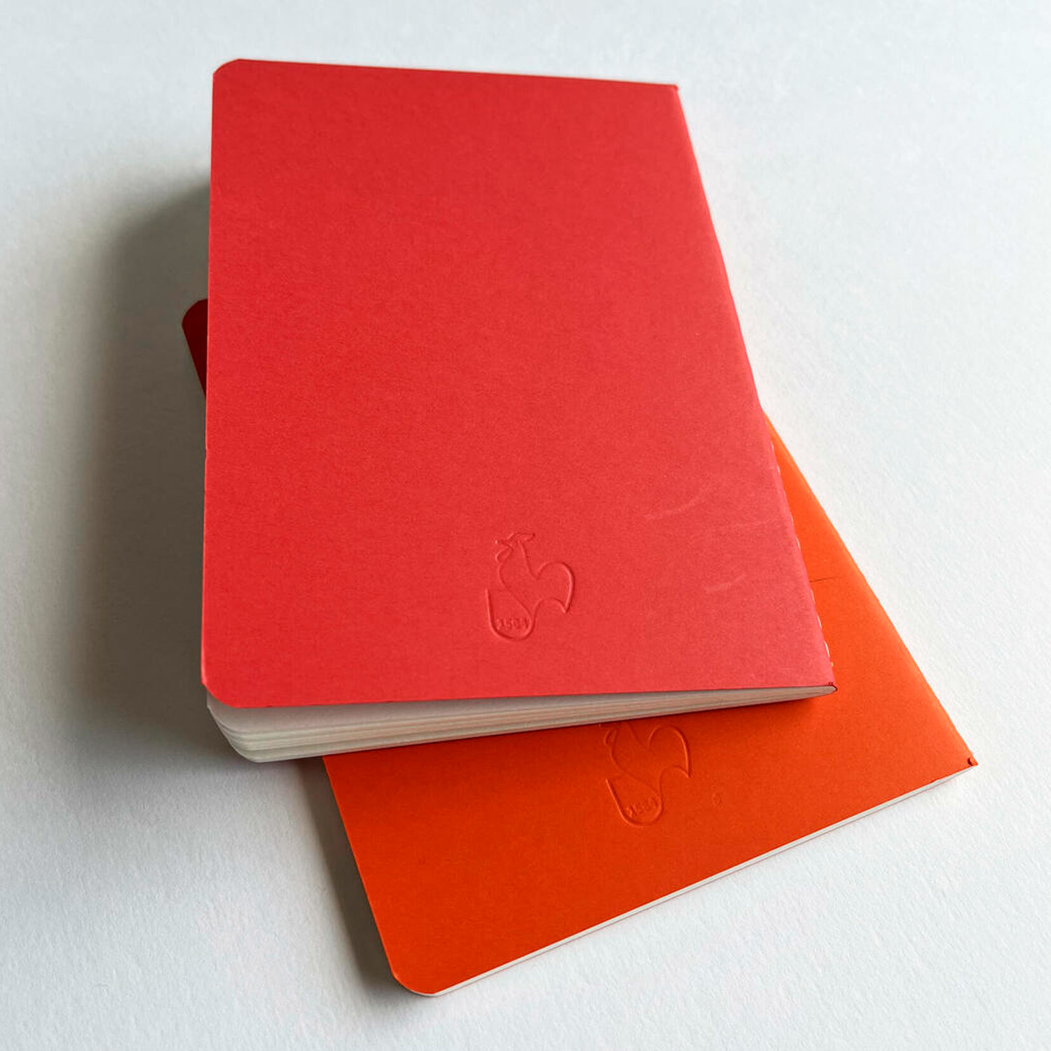 PACK X2 LIBRETAS HAHNEMUHLE SKETCH & NOTE HAHNEMÜHLE A4 (29.7X21CM) - 4