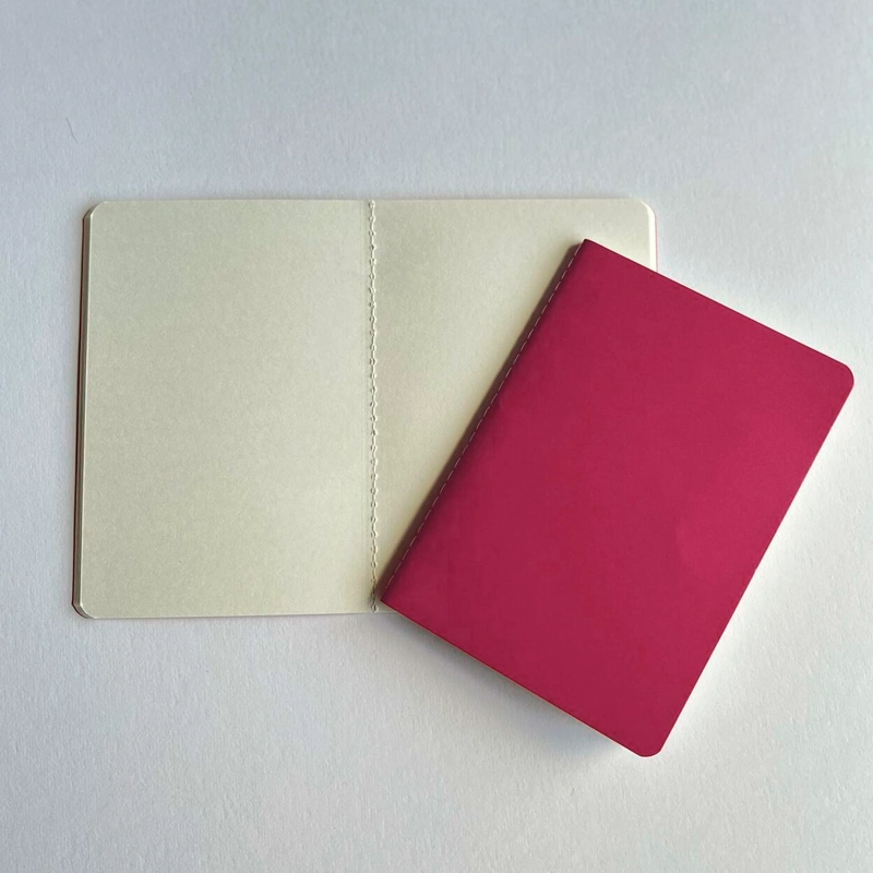 SET 2 LIBRETAS SKETCH&NOTE HAHNEMÜHLE A6 MAGENTA GRIS - 3