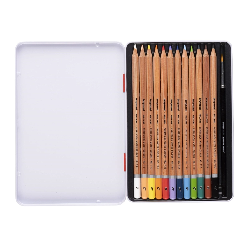 LÁPICES ACUARELABLES BRUYNZEEL + PINCEL 12 COLORES - 2